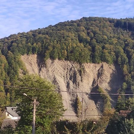 "У Пасічника" Котедж Для Сім'Ї Jaremtsche Exterior foto