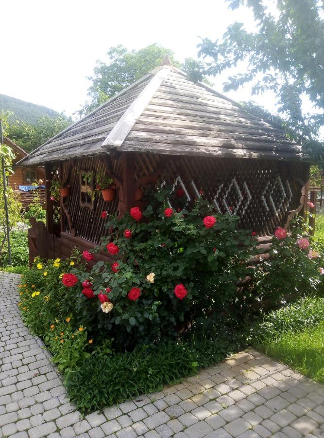 "У Пасічника" Котедж Для Сім'Ї Jaremtsche Exterior foto